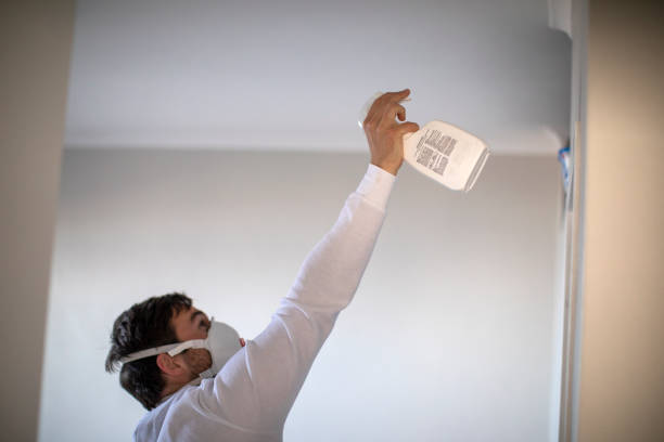 Best Home Mold Removal  in Tacoma, WA