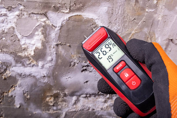 Best Commercial Mold Removal  in Tacoma, WA